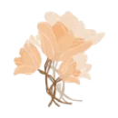 logo_charm
